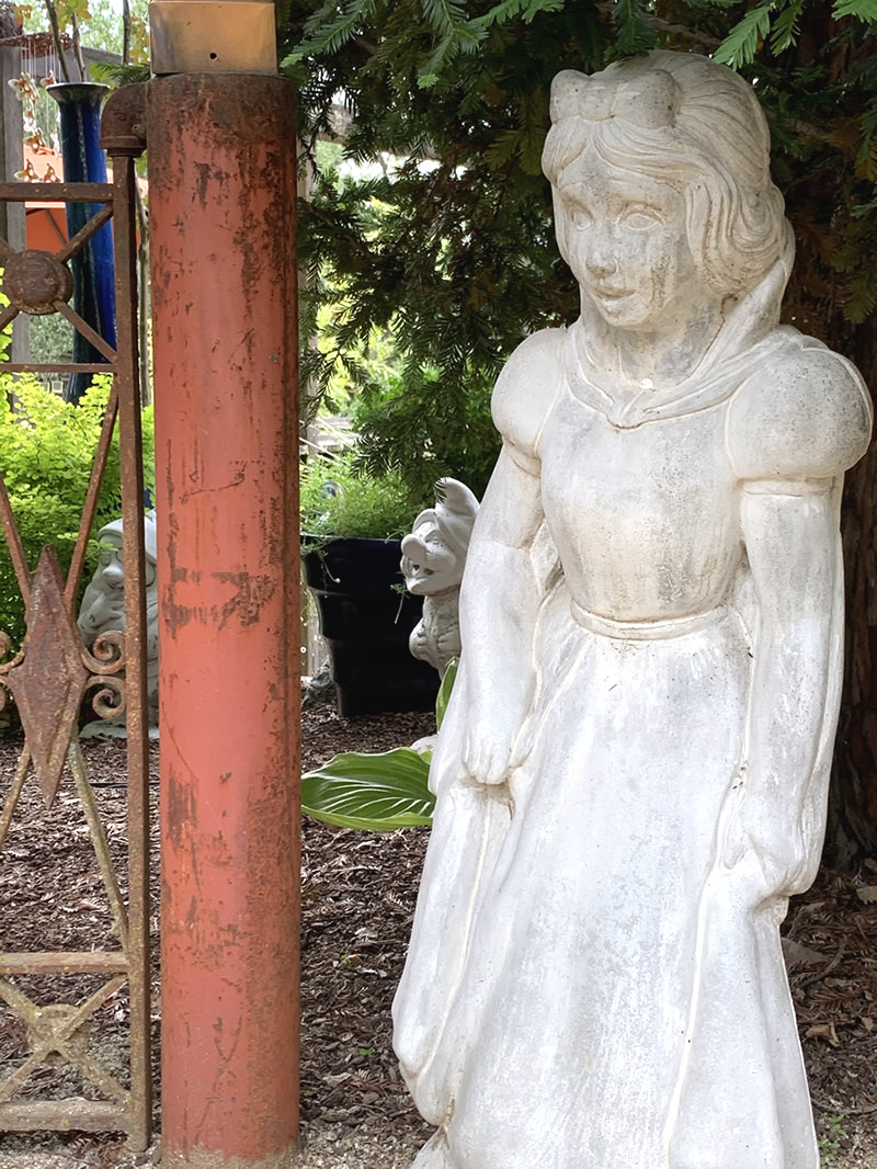 Snow White in Sheri Burke's garden