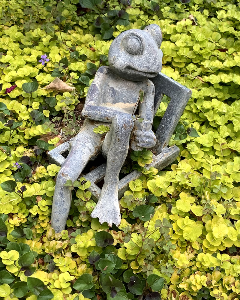 Garden frog art