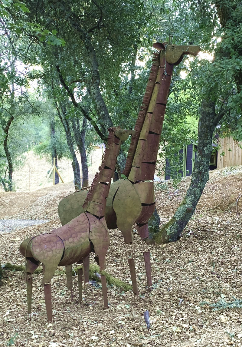 Garden art giraffes at Sheri Burke's garden