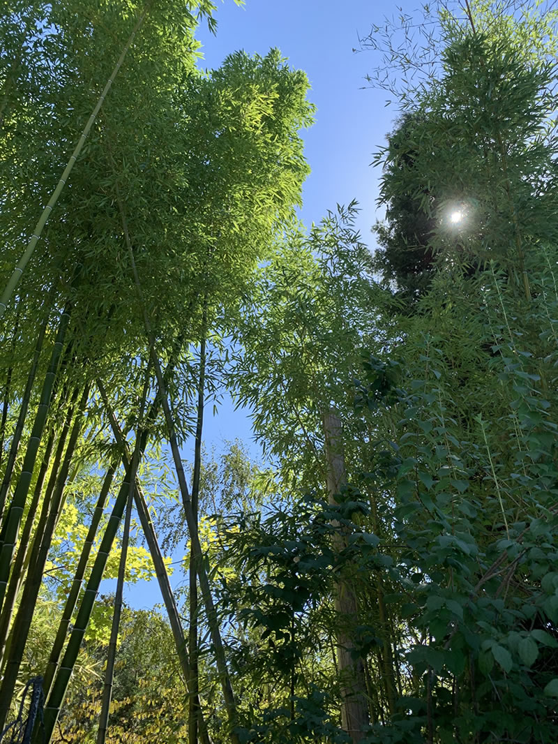 My view while floating in the pool.