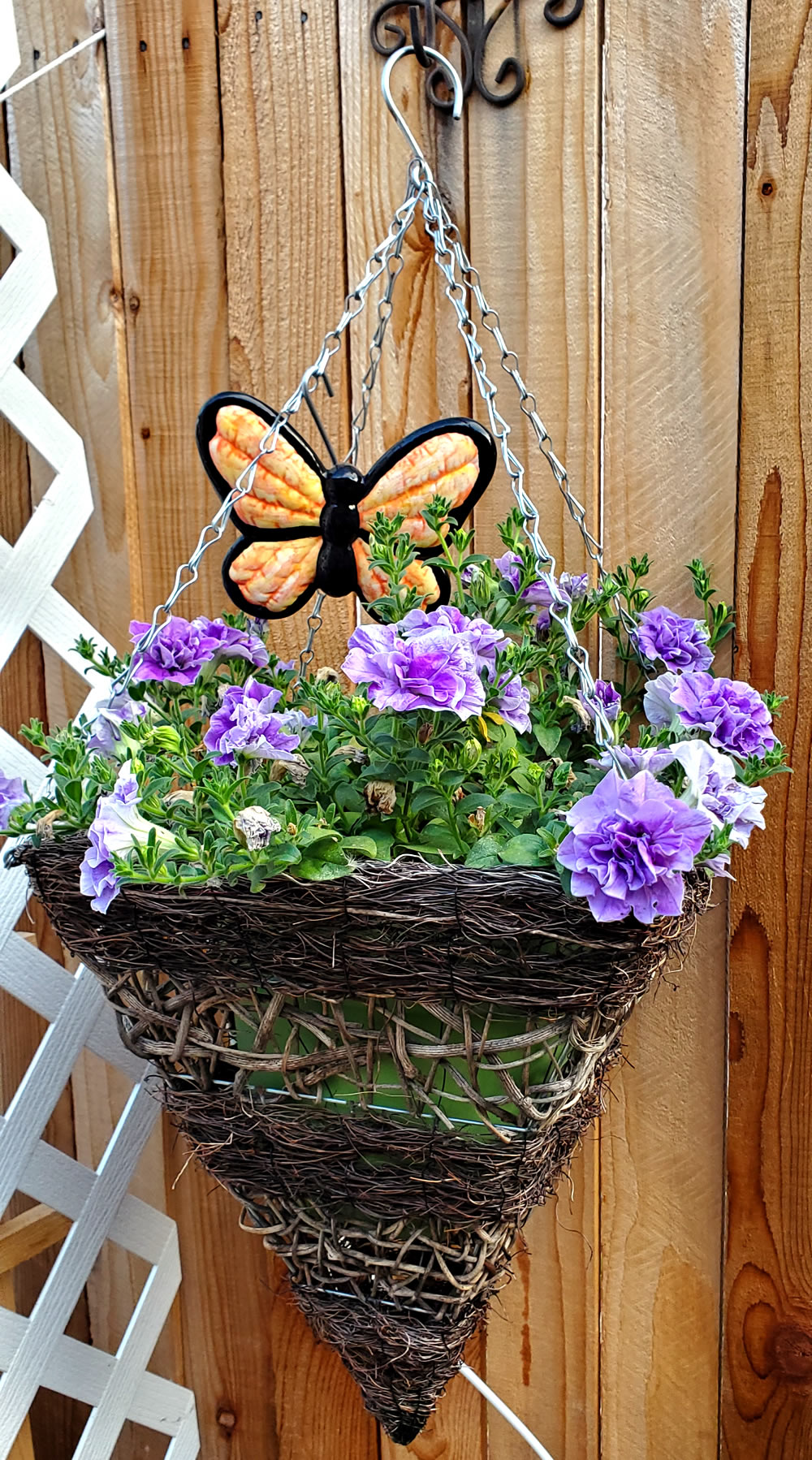 Aunt Patti's hanging basket creation