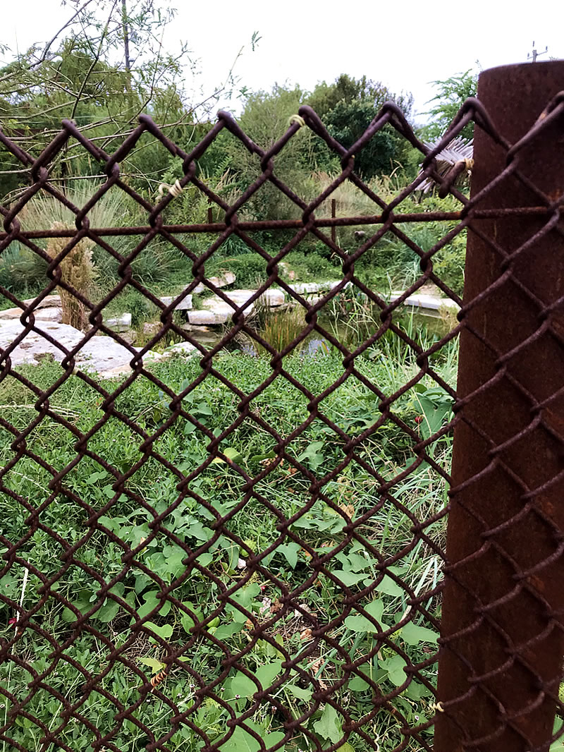 Rusted fence