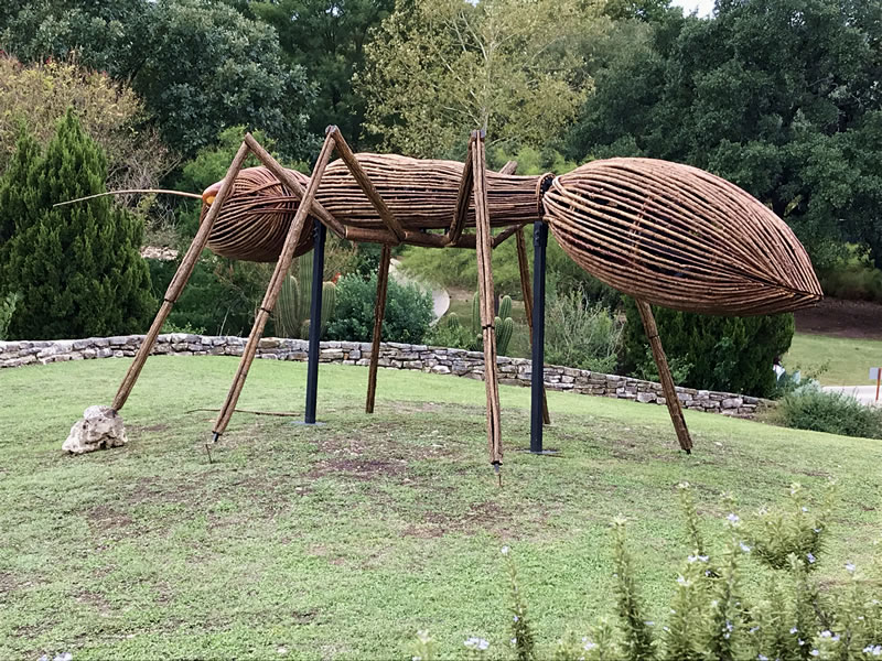 Ant - garden art