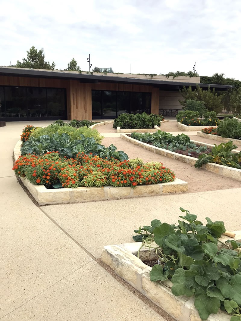 San Antonio Botanical Garden's Vegetable Garden