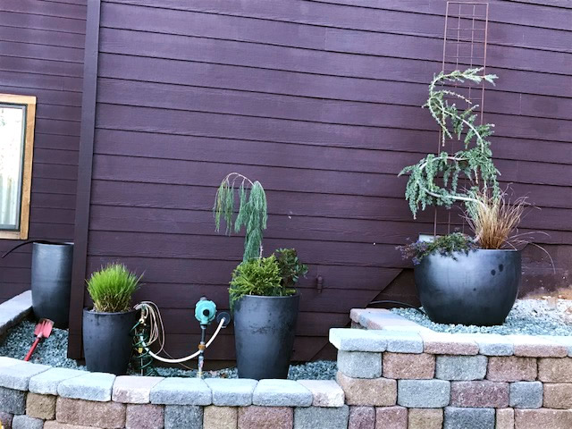 Grey pots with small plants, a "before" photo