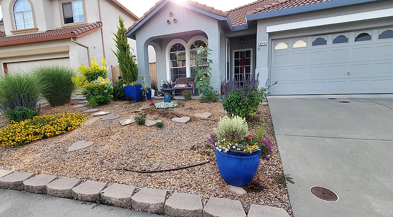 Front yard, nice but plain looking