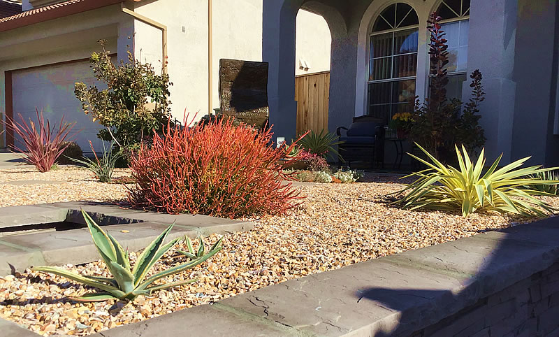 New front yard from angled view showing plantings
