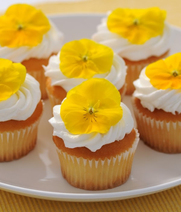 Cupcakes decorated with frosting and viola blossoms