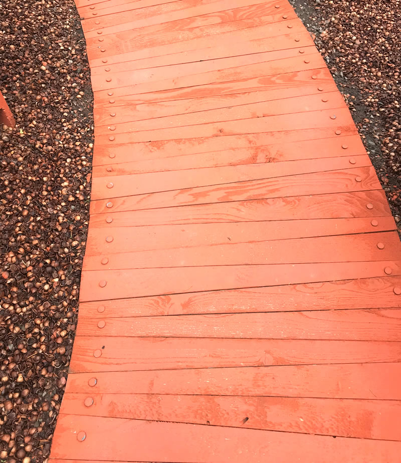 Walkway made of wood planks