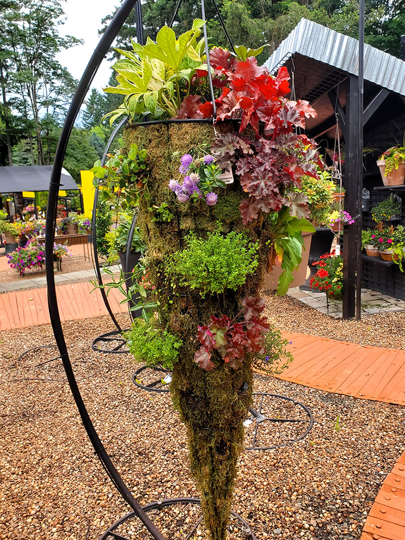 Cone-shaped hanging flower basket