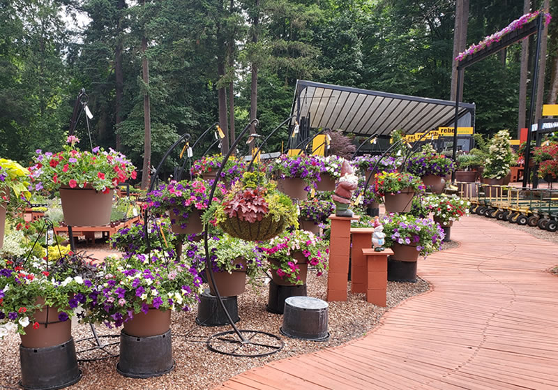 Walkway through container and hanging baskets flower designs plus row of flowers high across entrance