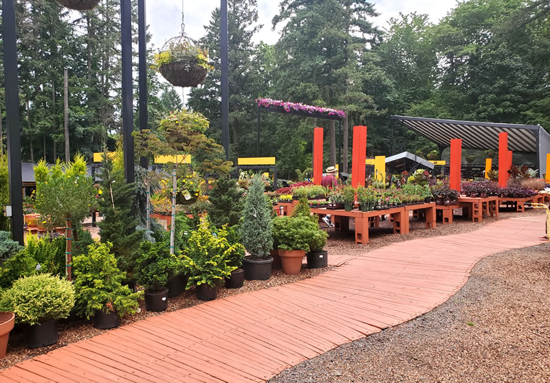 Walkway through conifer display