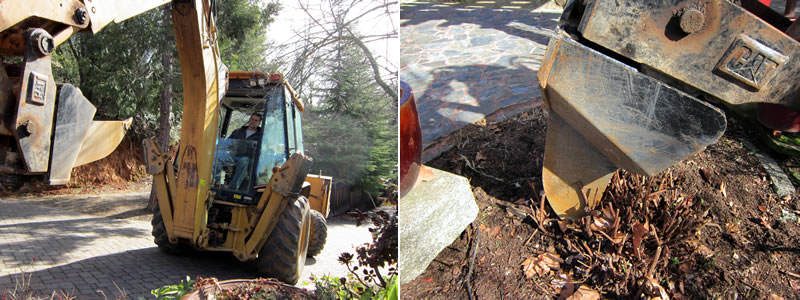 Photos of backhoe with attachment and hovering over the St. John's Wort