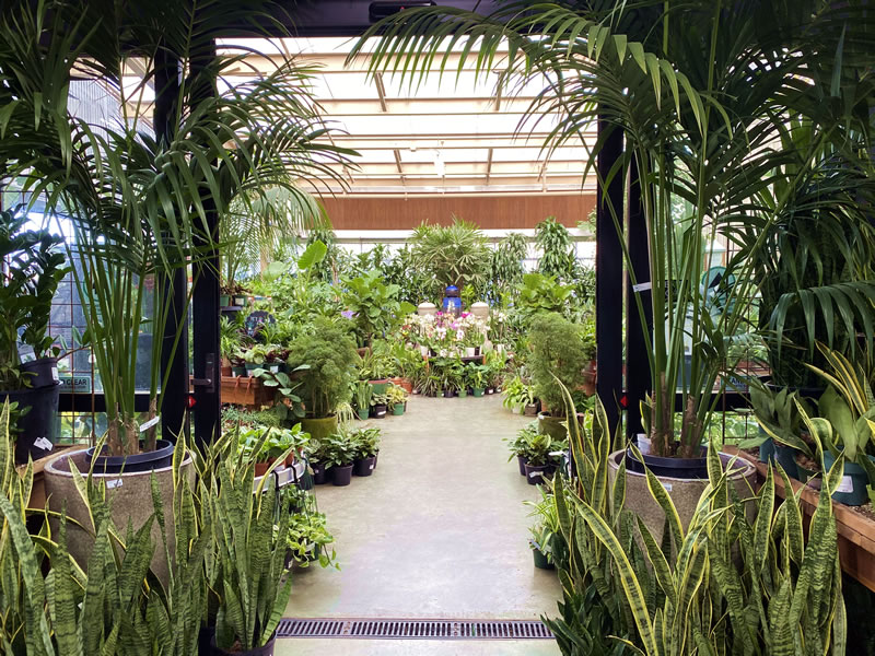 View of nursery interior house plant
