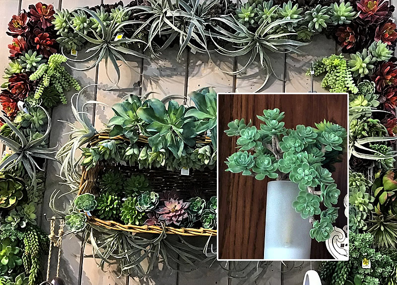 Square wall wreath of fake succulents and a fake succulent plant in a vase owned by Aunt Patti