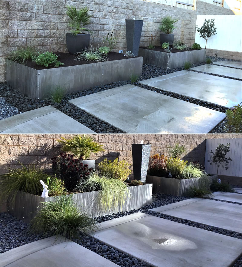 Two views of landscape planter, small plants and mature plants