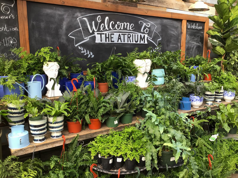 Nursery display of house plants