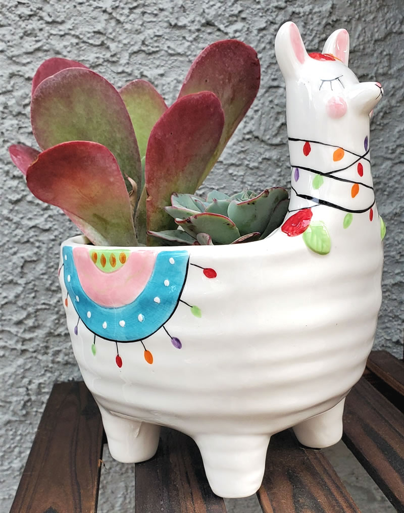 Llama shaped pot with succulent