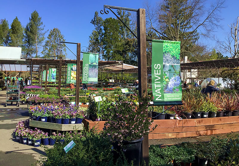 Nursery outdoor plant displays showing signs