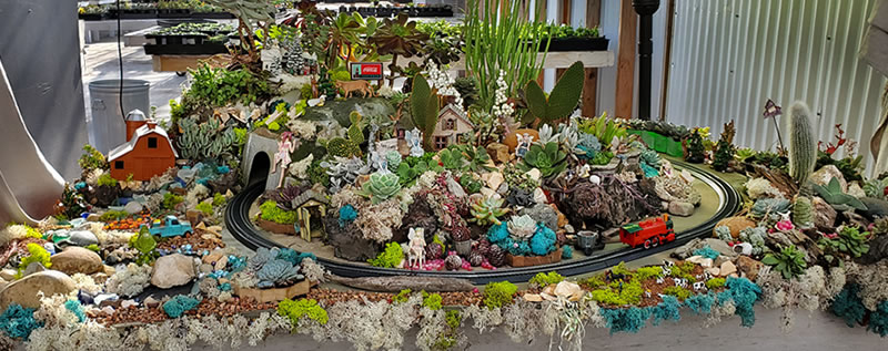 Miniature train set with tracks surrounded by succulents