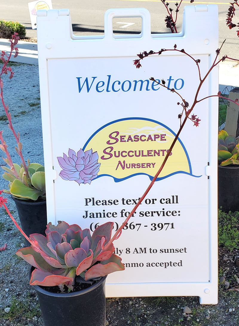 Welcome sign sitting on ground "Welcome to Seascape"