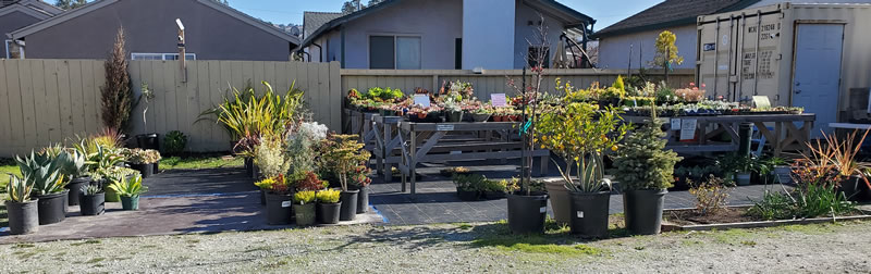 Exterior tables and work area with succulents