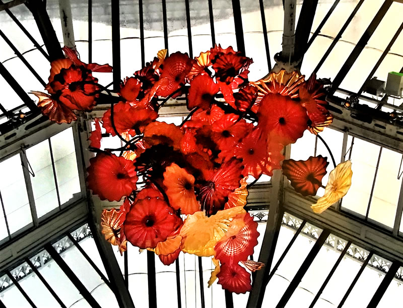 Giant red glass persian flowers in a bunch hanging from high ceiling 
