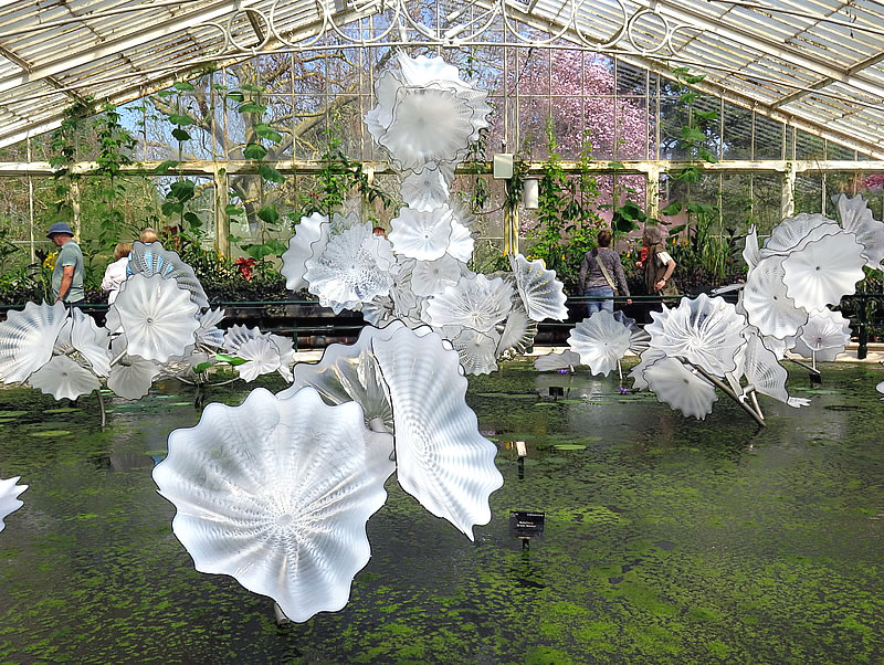 Ethereal White glass Persian inside glass house