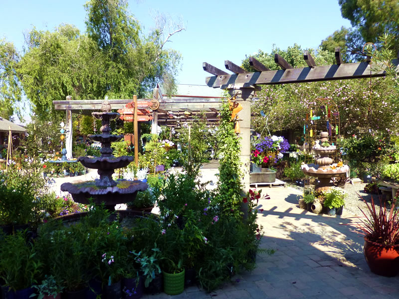 View of interior of nursery, fountain, plant arrangements