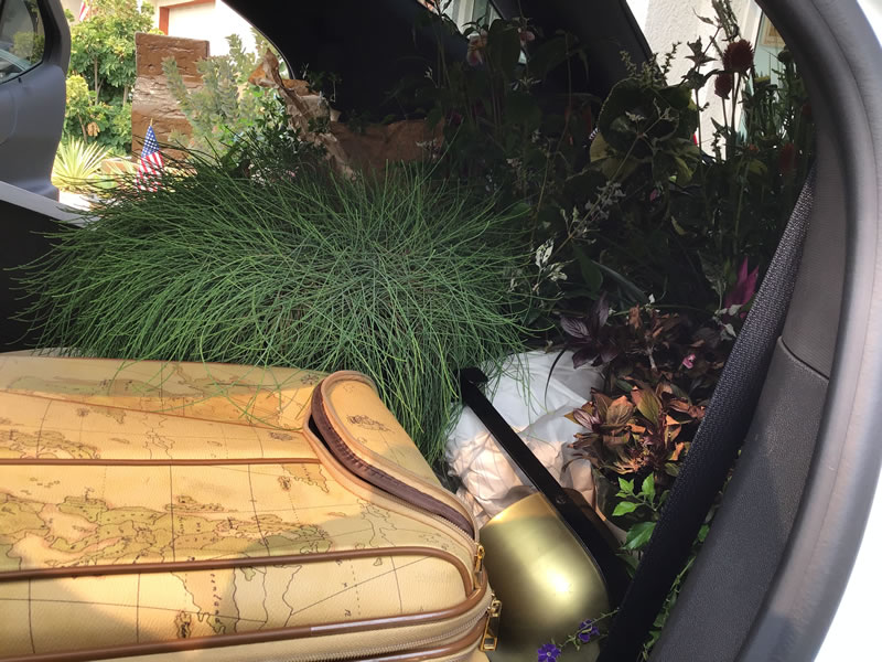 Luggage lying in the back of a car next to some plants