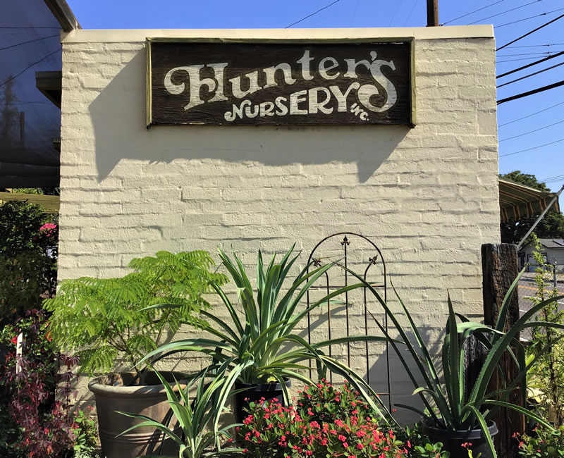 Outdoor sign reading Hunters Nursery