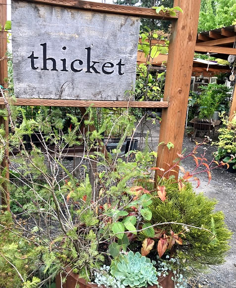 Entrance sign to Thicket nursery