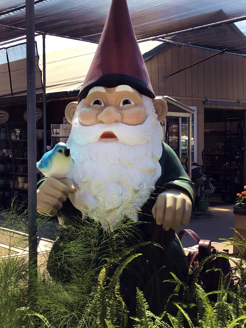 Giant garden gnome