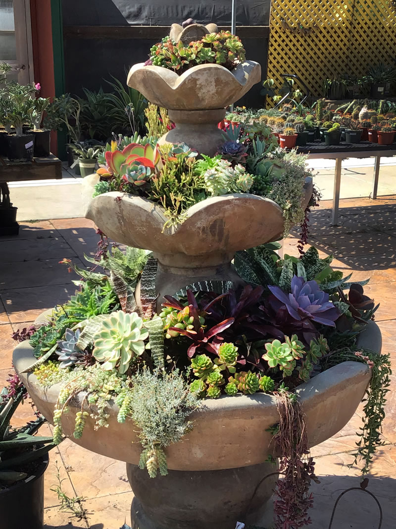 Three tiered fountain planted with variety of succulents