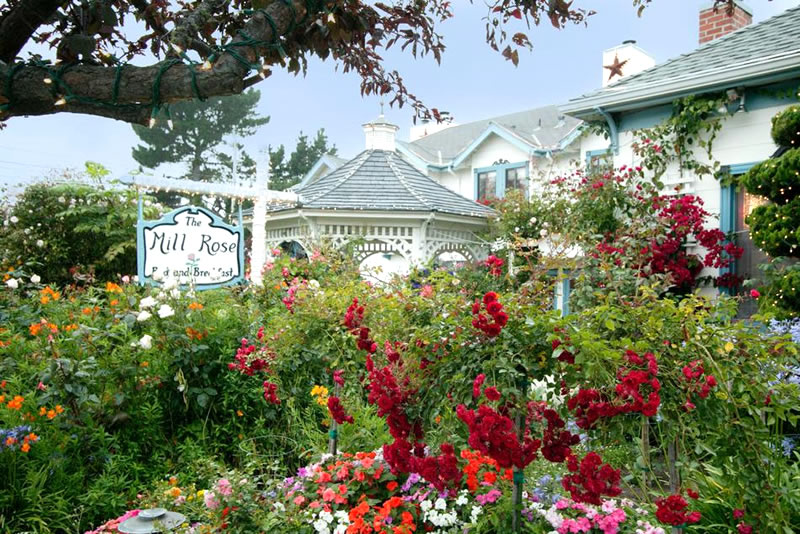 Mill Rose Inn sign surrounded by luxurious roses and flowers