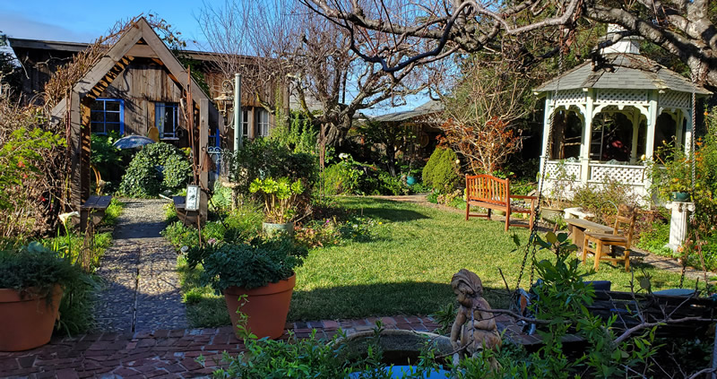 Wide view of Alena Jean's back garden, lawn, trees, garden areas, shed.