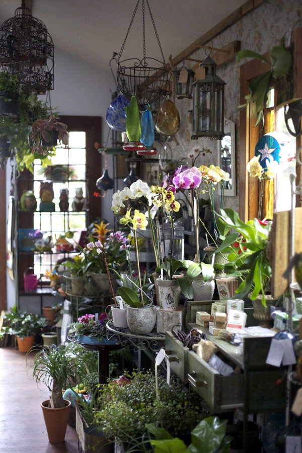 Interior flower and garden shop, varied garden items displayed near window