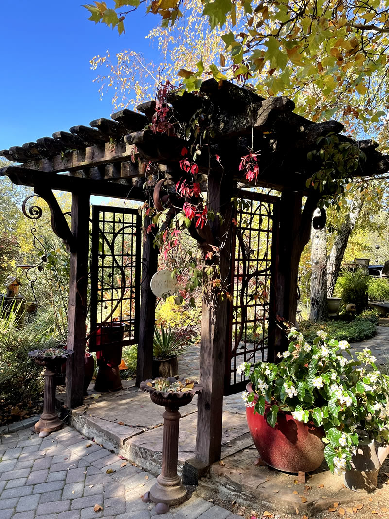 Pergola outdoors with plants and garden art
