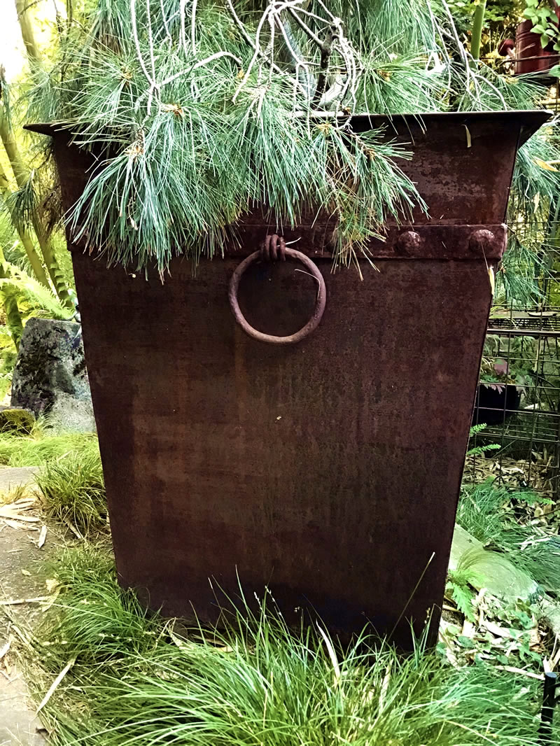 Large rust-colored square metal container with small evergreen.