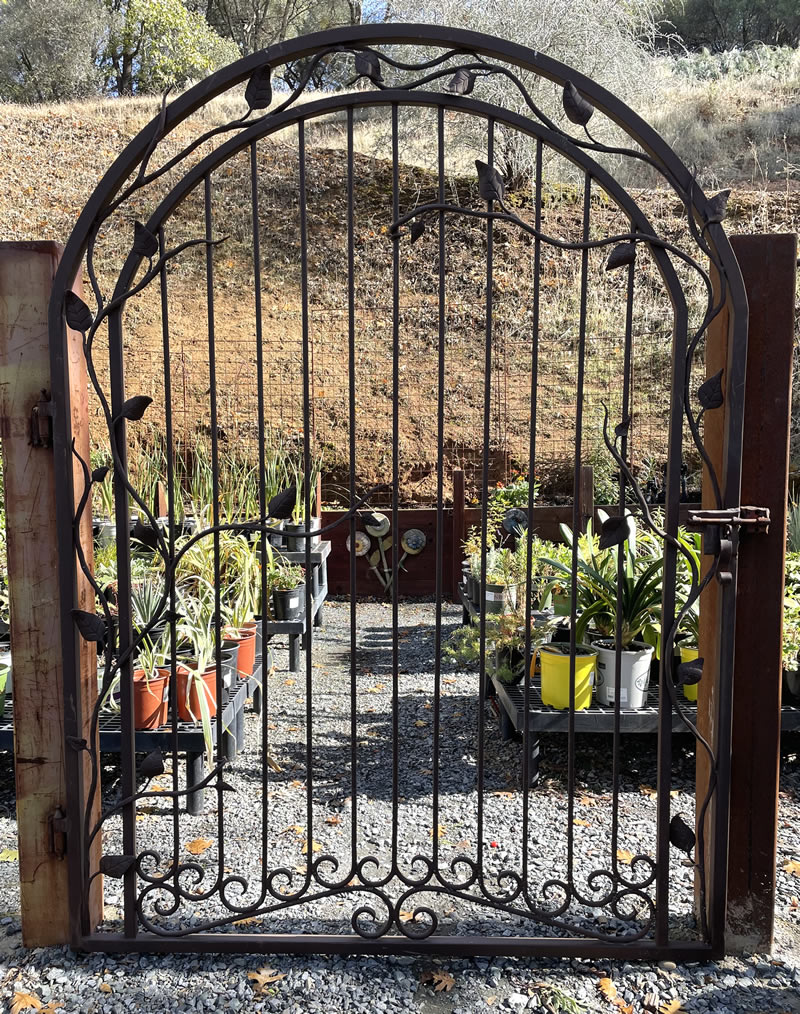 Iron gate leading to nursery area with plants.
