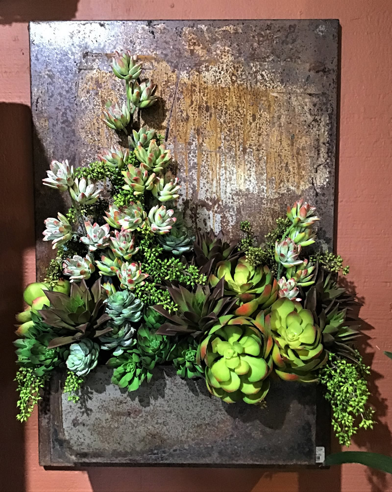 Arrangement of succulents in a metal wall container.