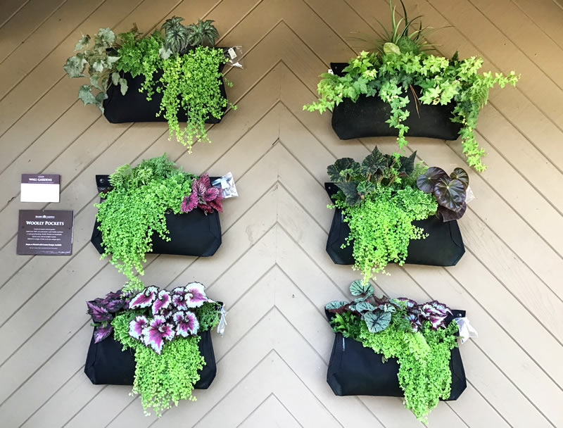 Pocket containers hanging on a wall and holding various plants