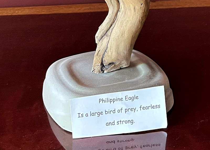Descriptive note on the bird base "Phillipine Eagle:  A large bird of prey, fearless and strong"