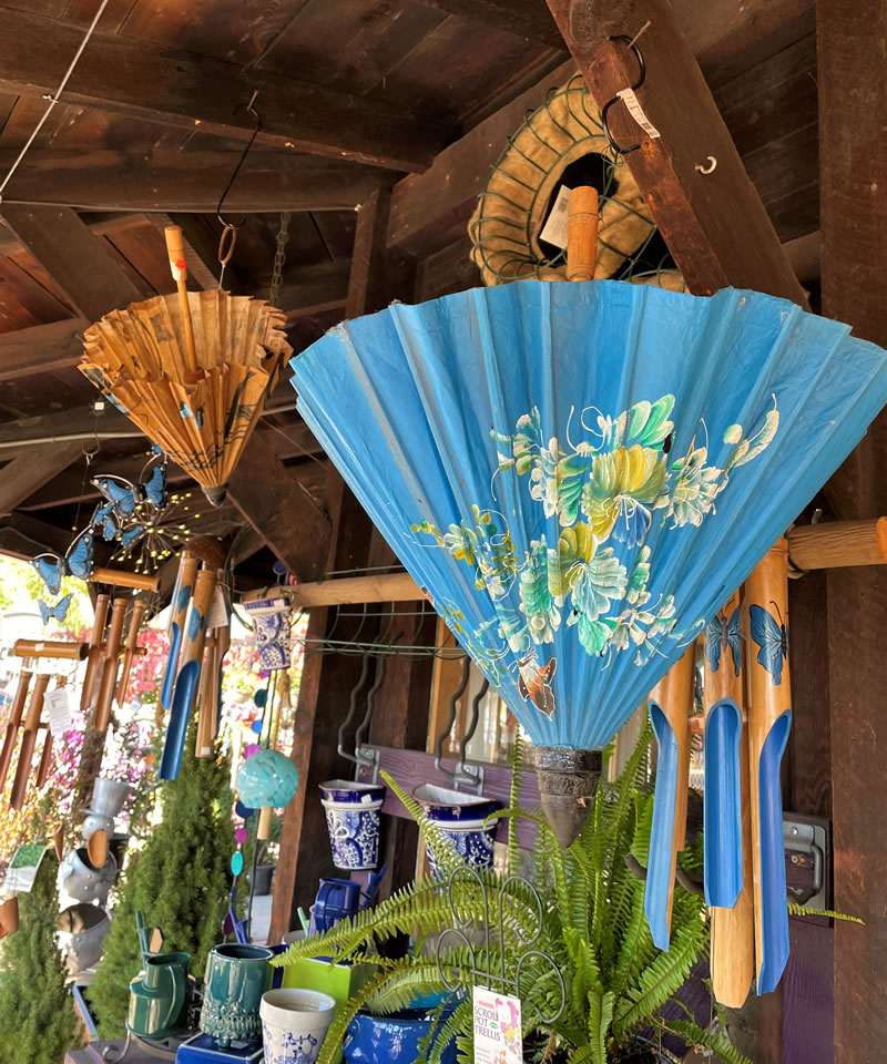 Colorful parasols hanging by handles from nursery ceiling and so are slightly open.