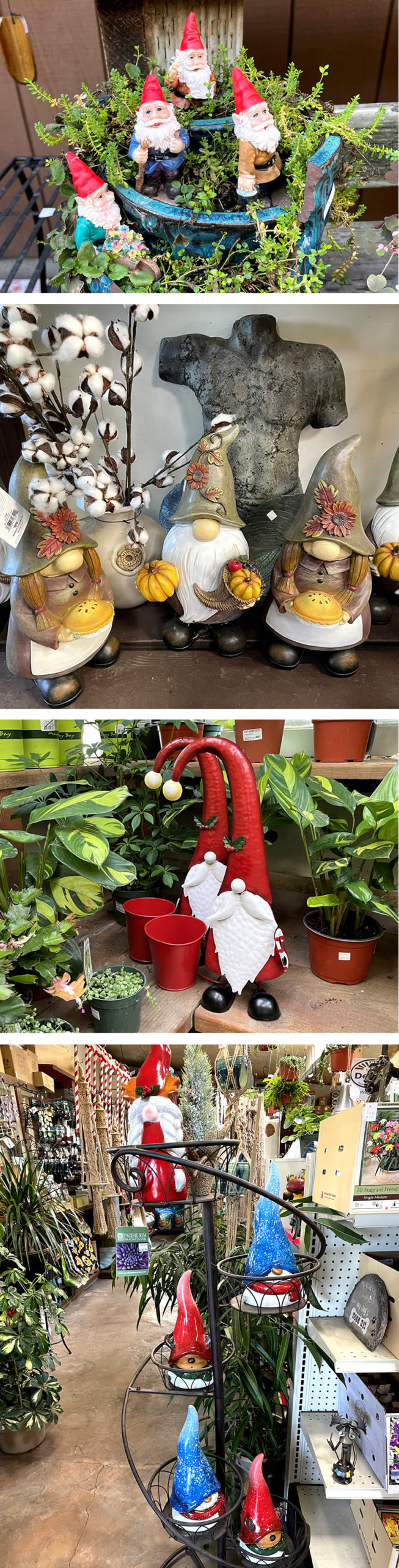 Photo collection of garden gnomes from various places in the nursery