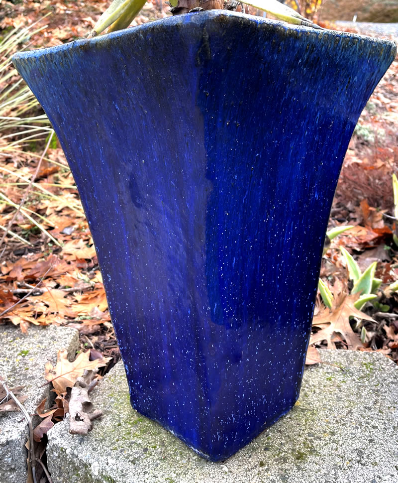Blue cement plant container.