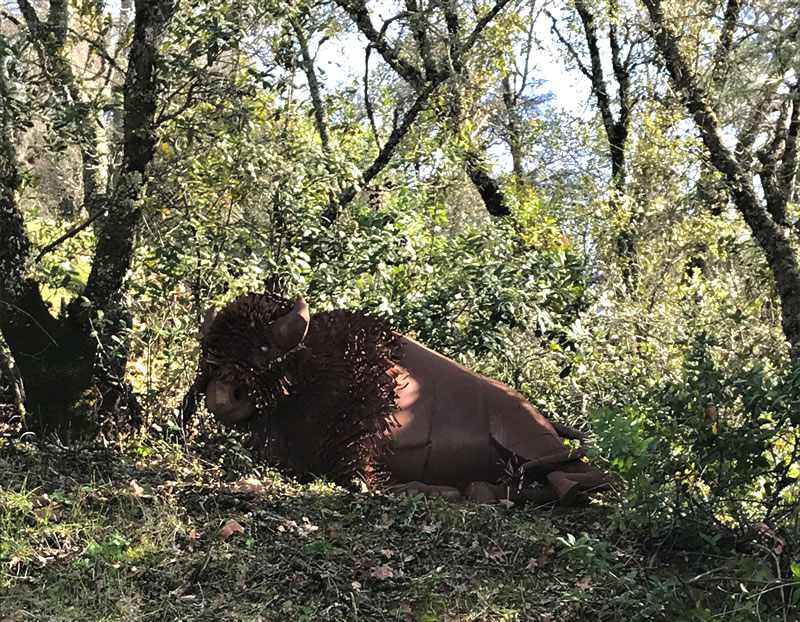 Full size 3-D metal buffalo, body and head, resting among trees. 