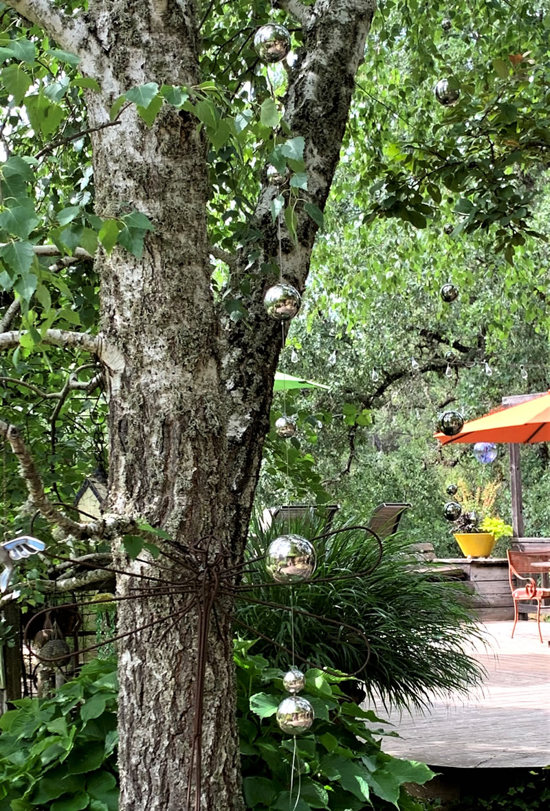 String of shiny steel globes of various sizes draped from tree limbs. 